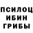 Галлюциногенные грибы Cubensis Game Mechanic