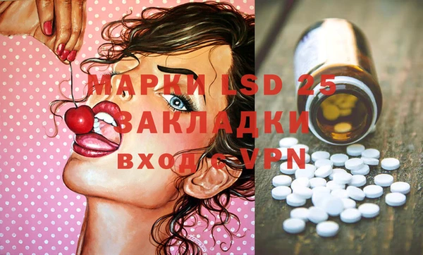 прущие грибы Баксан