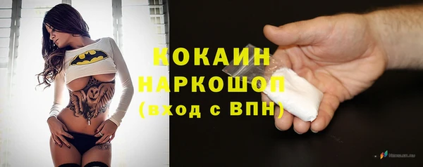 прущие грибы Баксан