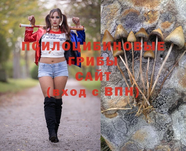 прущие грибы Баксан
