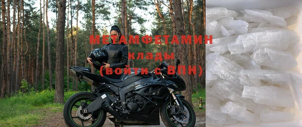 прущие грибы Баксан