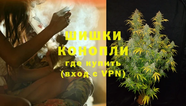 прущие грибы Баксан