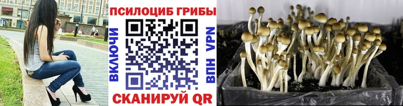 Галлюциногенные грибы Magic Shrooms  Купить  Губкинский 